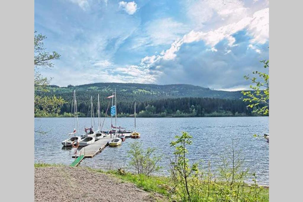 Ferienwohnung Schwarzwald Hinterzarten Esterno foto
