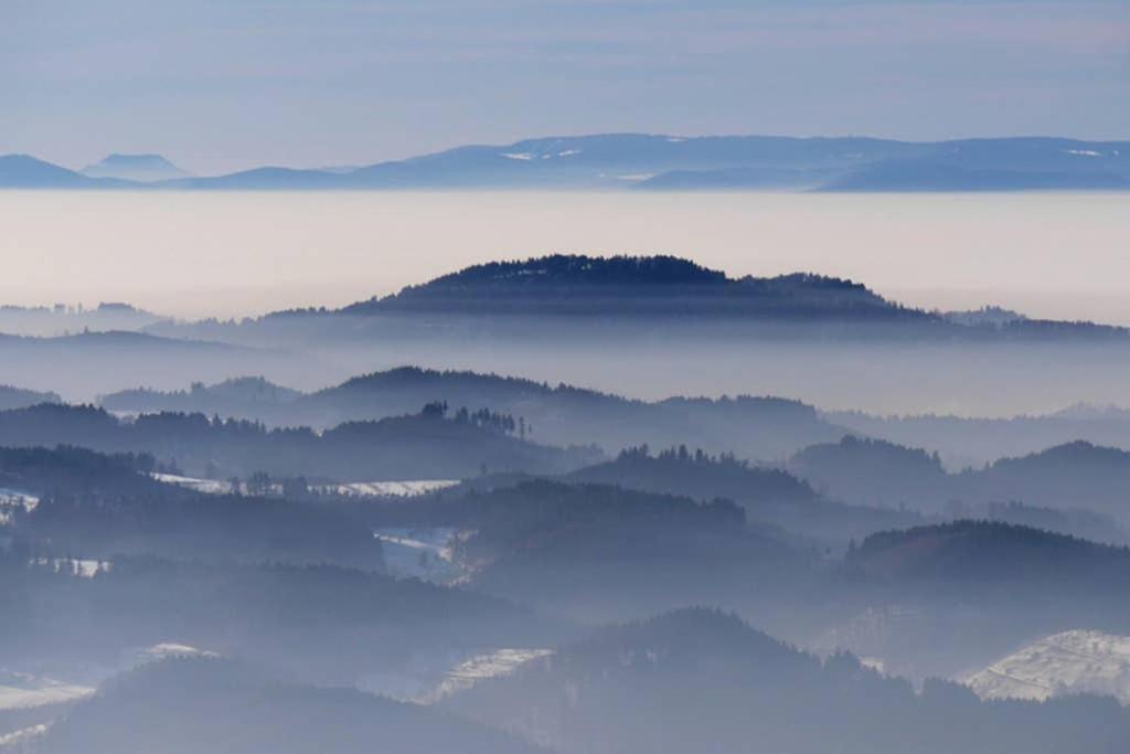 Ferienwohnung Schwarzwald Hinterzarten Esterno foto