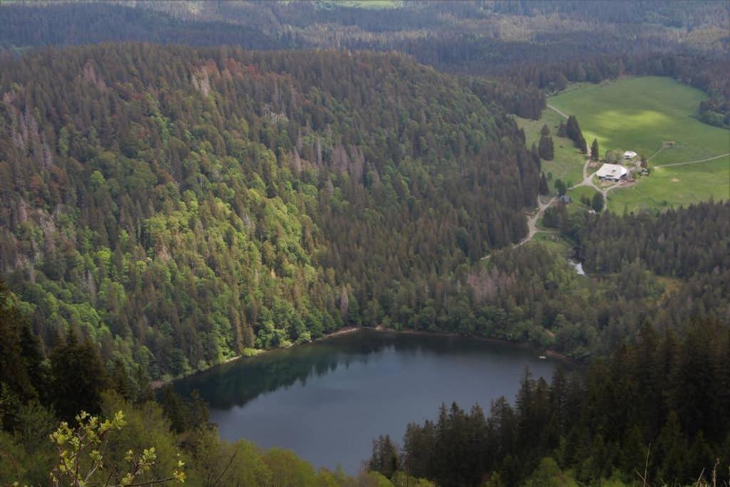 Ferienwohnung Schwarzwald Hinterzarten Esterno foto