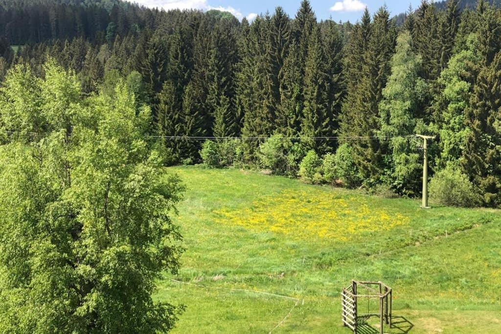 Ferienwohnung Schwarzwald Hinterzarten Esterno foto